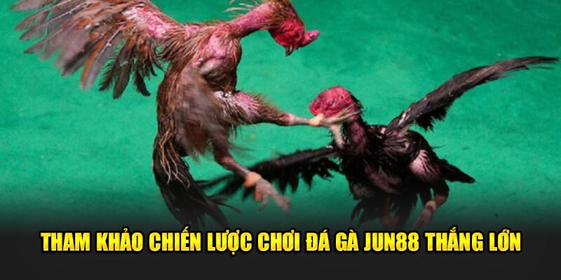 Tham khảo chiến lược chơi để thắng lớn